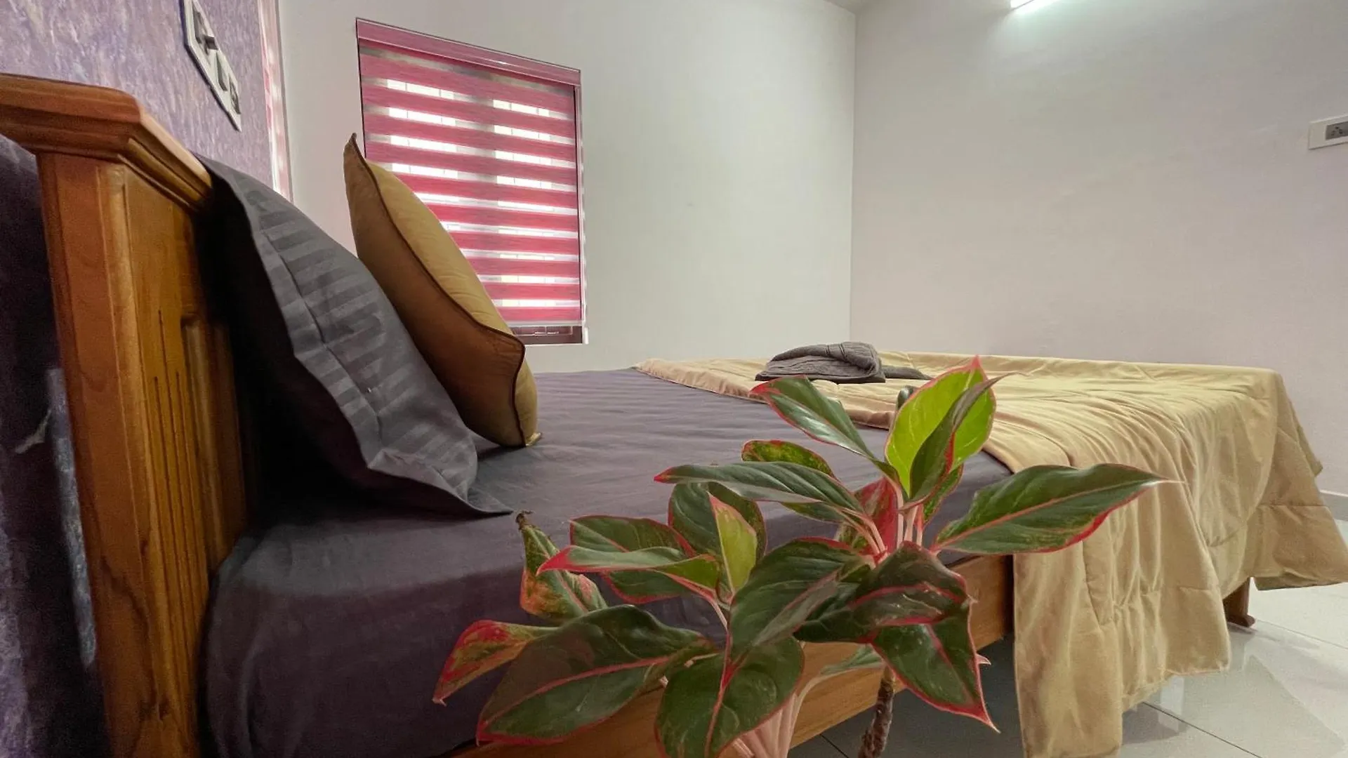Varkala Life Homestay